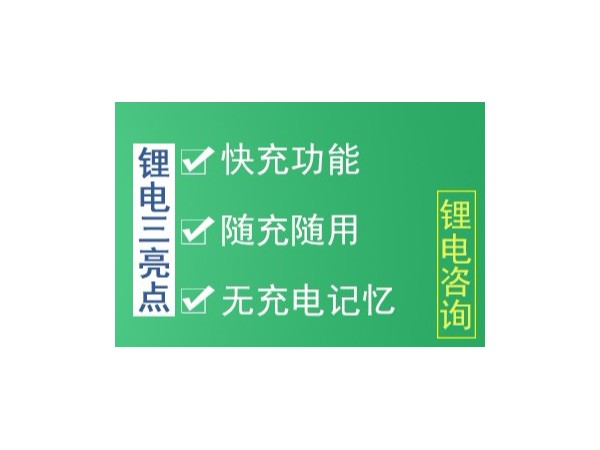 锂电池组